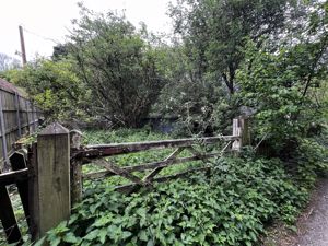 Photo 5- click for photo gallery